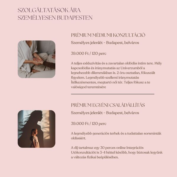 Személyes sorselemzés, Egyéni Családállítás